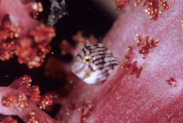 b0042837_211035100.jpg