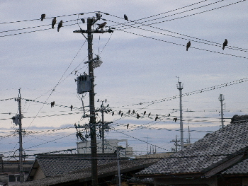 e0111346_9383033.jpg
