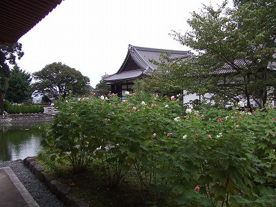 f0068649_21291261.jpg