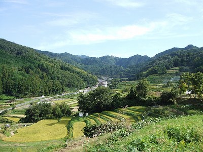 f0068649_21303032.jpg