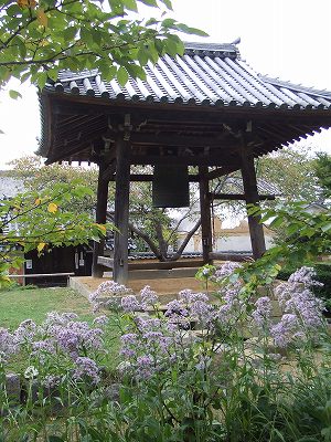 f0068649_21412854.jpg