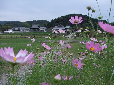 f0068649_22344532.jpg