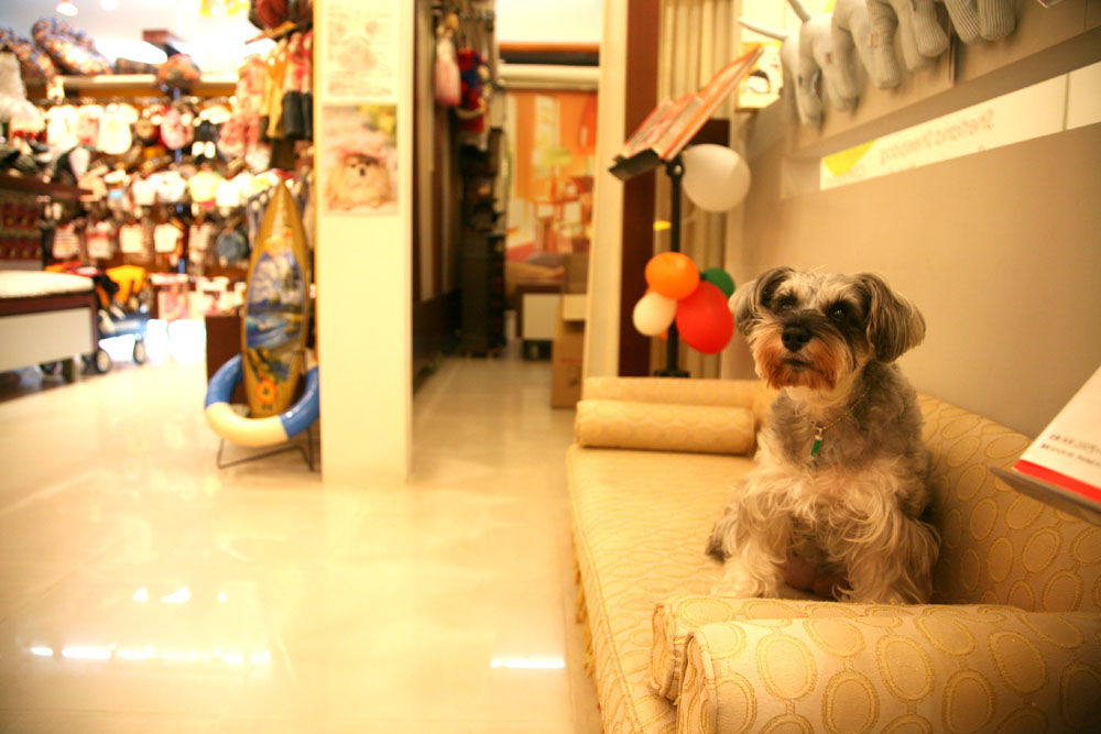 c0029654_1563612.jpg