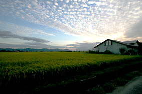 f0062055_14255329.jpg