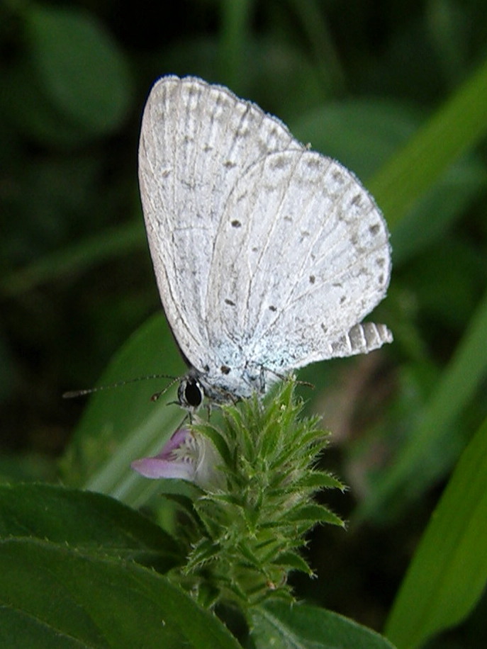 e0064158_0112090.jpg