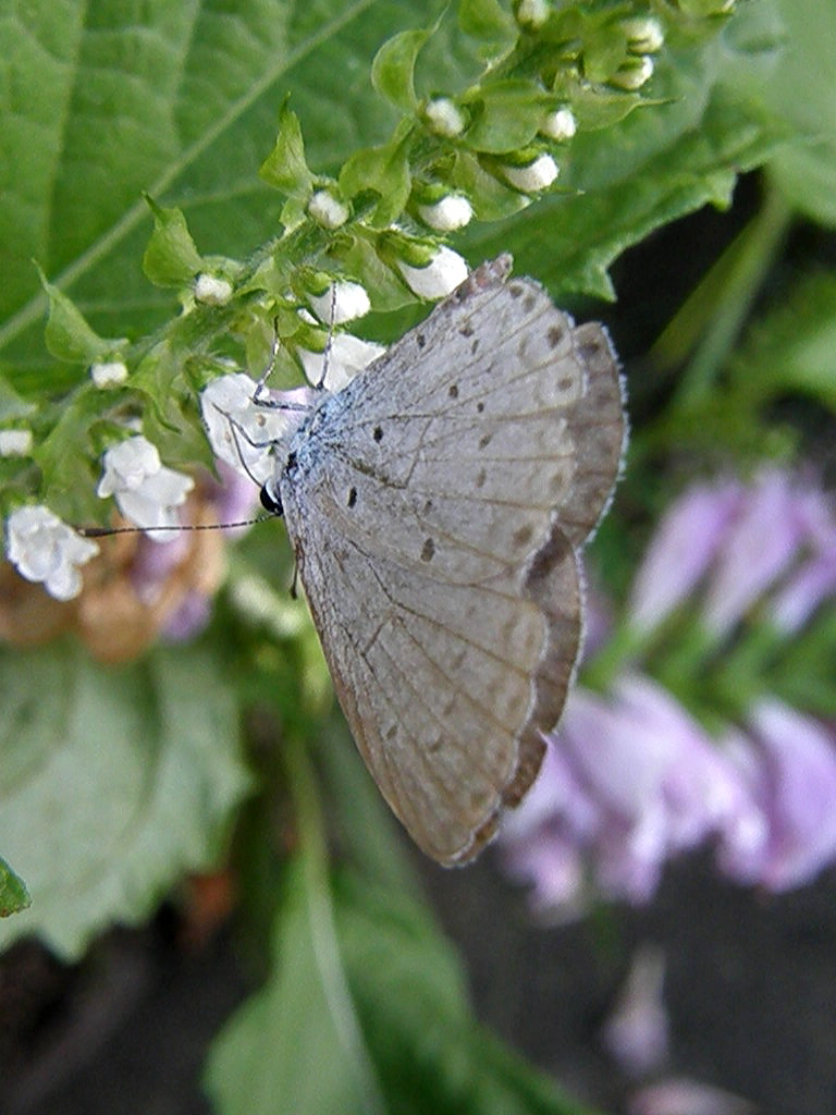 e0064158_031320.jpg