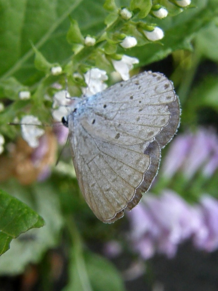 e0064158_034134.jpg
