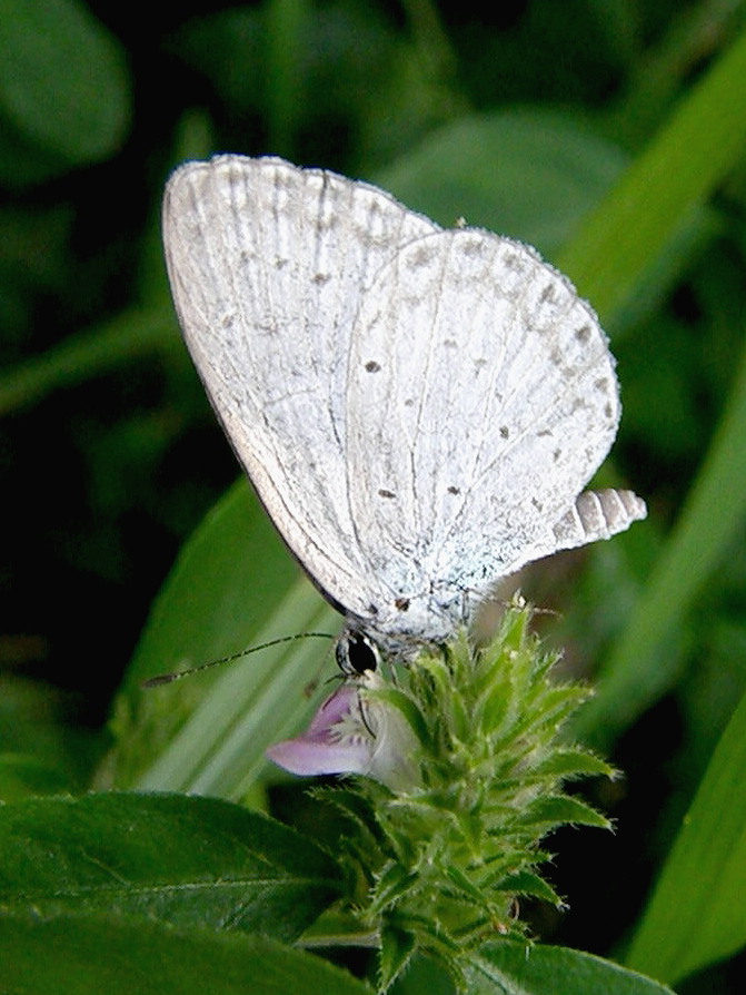 e0064158_052996.jpg