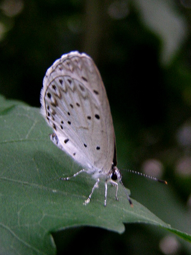 e0064158_08346.jpg