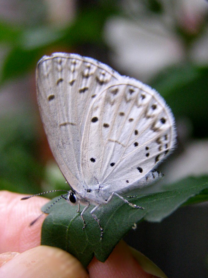 e0064158_085548.jpg