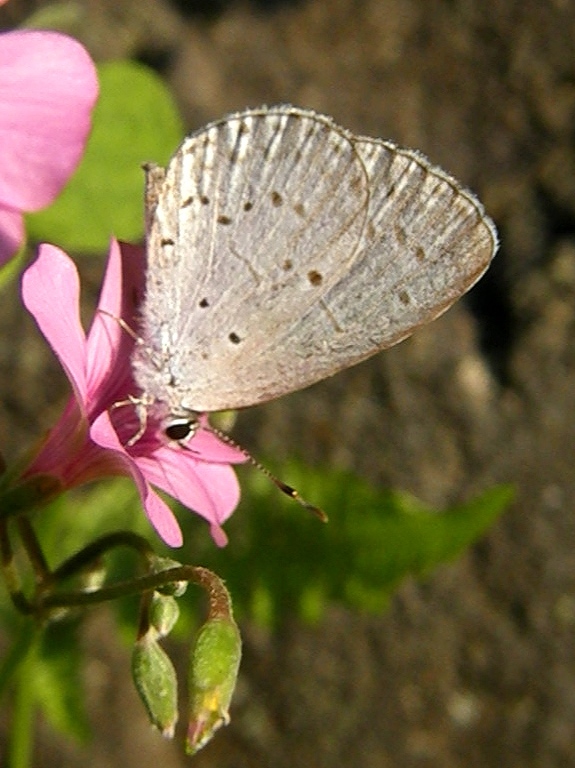 e0064158_12591492.jpg