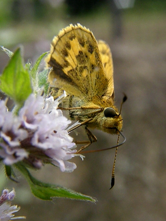 e0064158_23573162.jpg