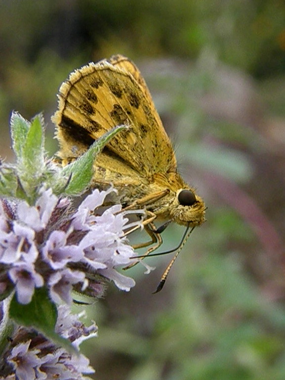 e0064158_2357330.jpg
