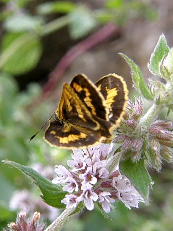 e0064158_23575331.jpg