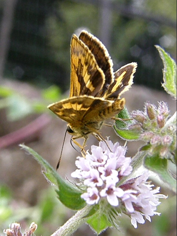 e0064158_23583496.jpg