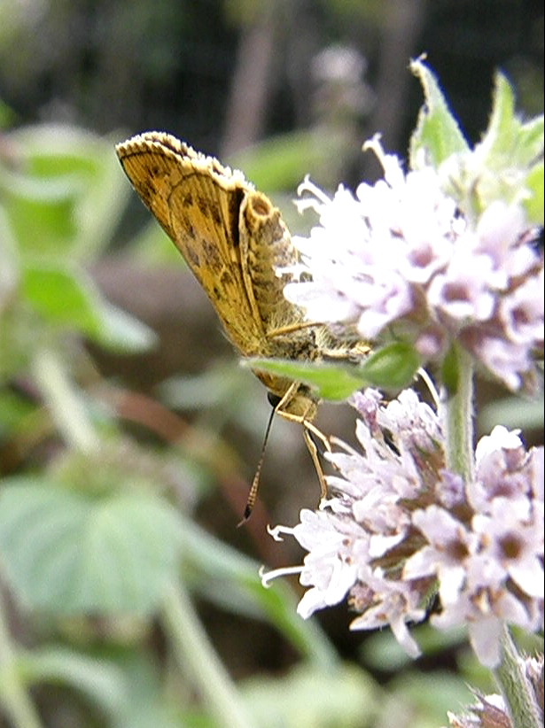 e0064158_23591771.jpg