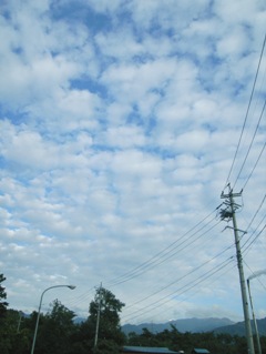 f0055358_2065443.jpg