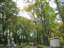 c0102375_5431780.jpg