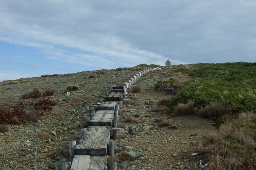 f0054075_14432216.jpg