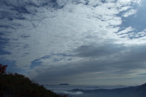 f0054075_14482712.jpg