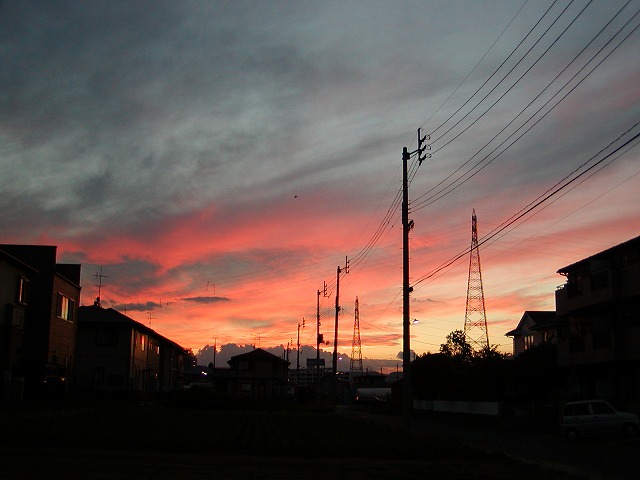 c0131478_962889.jpg