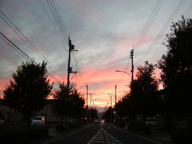 c0131478_96482.jpg