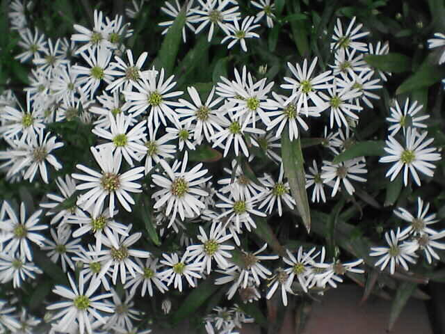 c0069380_13504391.jpg