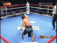f0004387_23471879.gif