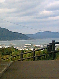 d0068788_1553353.jpg