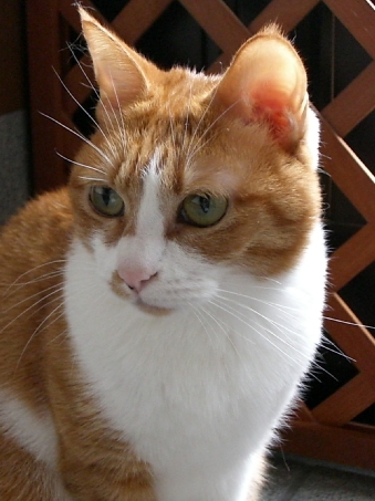 f0121293_1553726.jpg