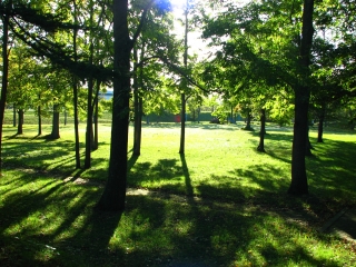 f0020302_1936860.jpg