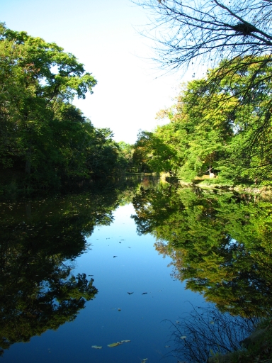 f0020302_19374584.jpg
