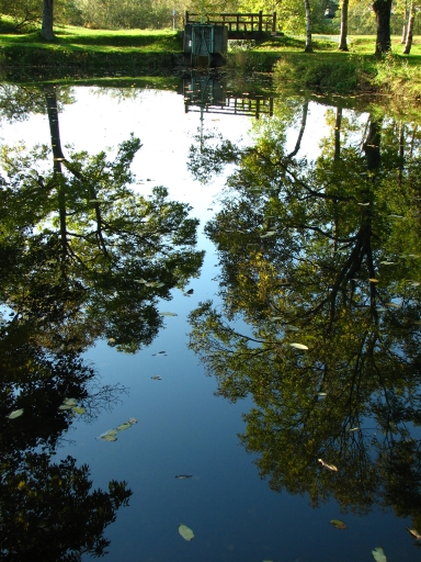 f0020302_19382567.jpg