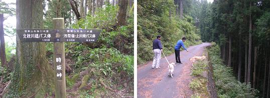 f0057509_21534044.jpg