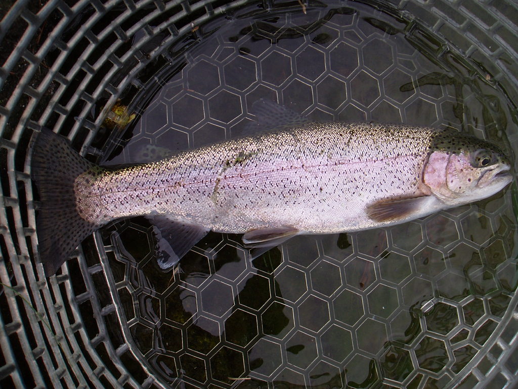 f0137709_23172829.jpg