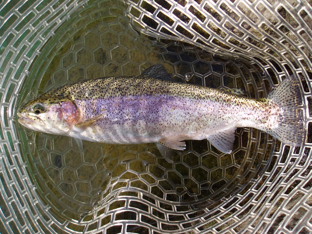 f0137709_2343382.jpg