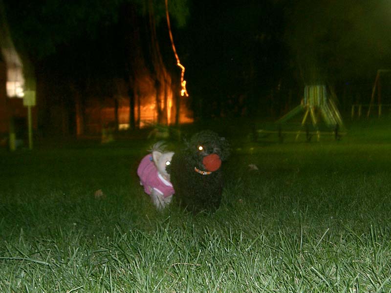 b0118416_23322837.jpg