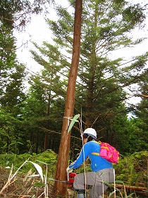 e0002820_1653418.jpg