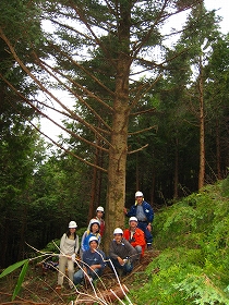 e0002820_1701619.jpg
