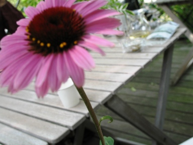 a0043326_21521470.jpg