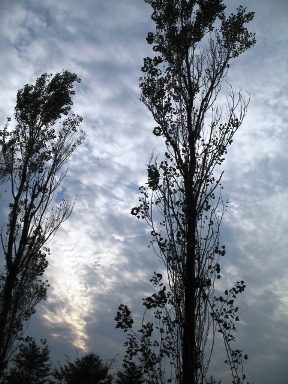 a0043326_22151981.jpg