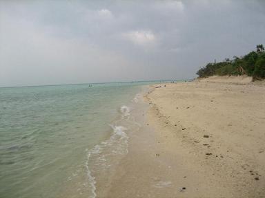 d0115326_17294955.jpg