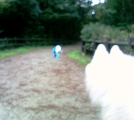 e0024126_20552373.jpg