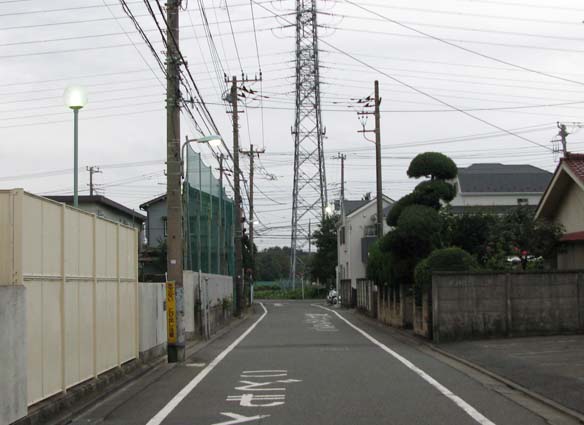 d0109728_1312951.jpg