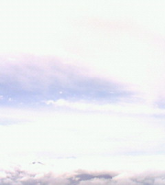 c0118536_22231749.jpg