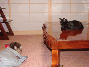 c0136736_12443892.gif