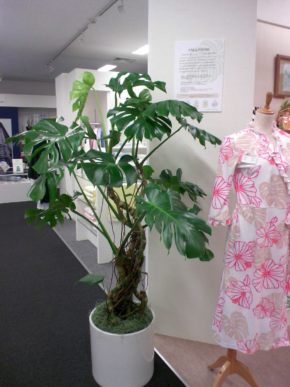 c0125637_2042448.jpg