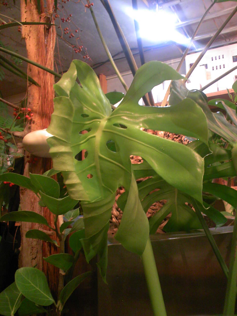 c0125637_20463763.jpg