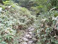 c0077338_16493061.jpg