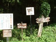c0077338_1649537.jpg